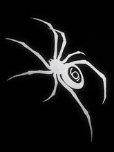 OVO Spider Web OG Hoodie